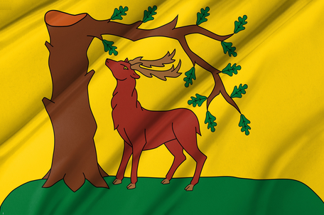 Flag of Berkshire County, United Kingdom