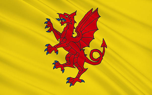 Flag of Somerset County, United Kingdom