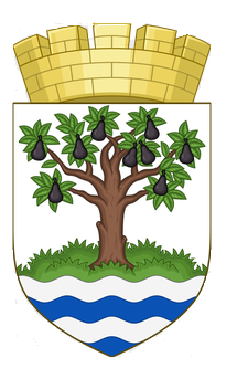 Coat of Arms of Worcestershire County, United Kingdom